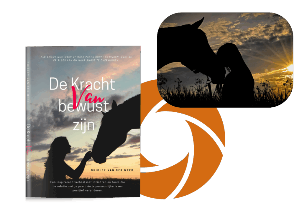 Afbeelding boek De Kracht van bewust zijn