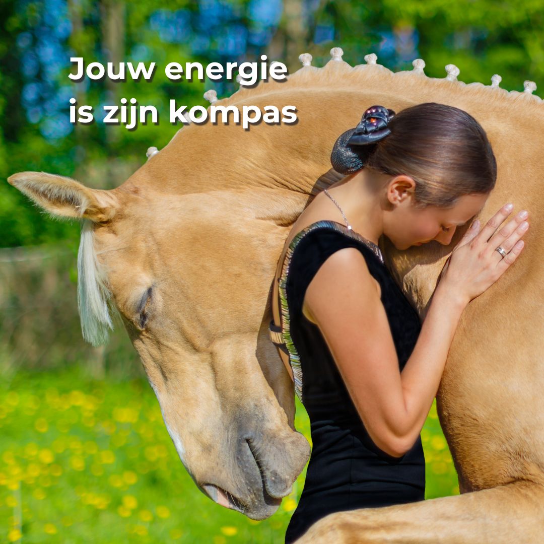 Leiderschap is geen truc, het is energie