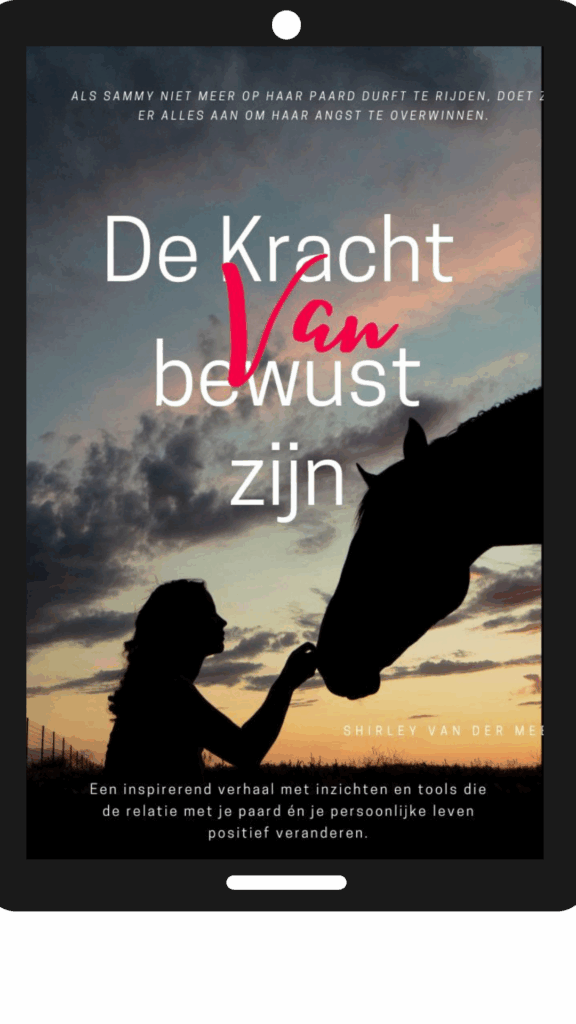 E-book cover De Kracht van bewust zijn