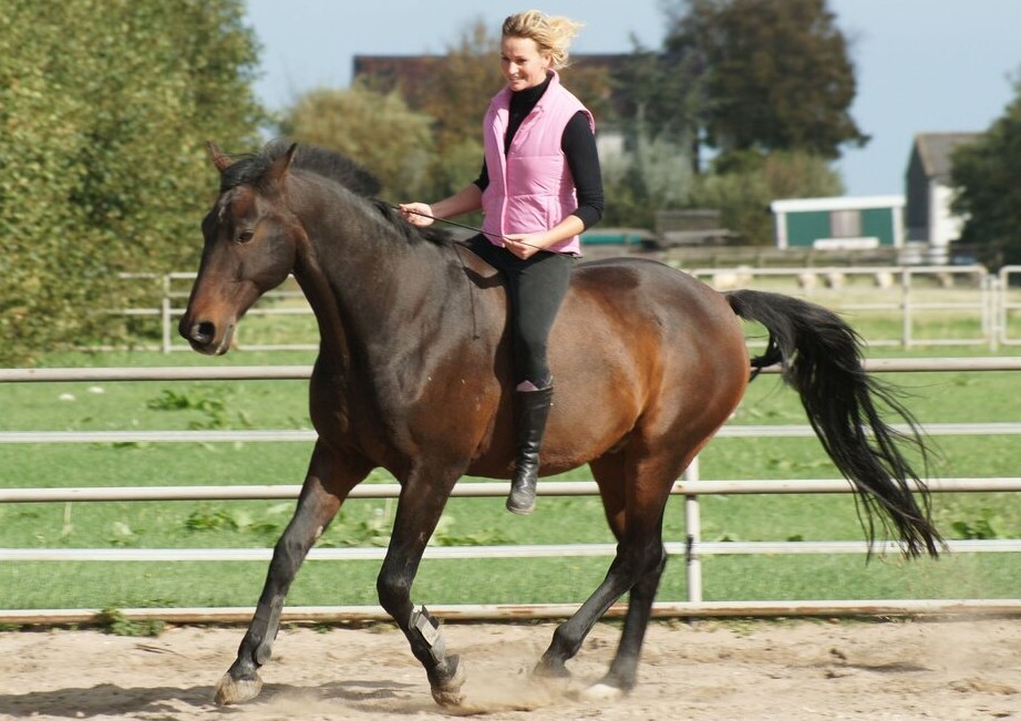 Vrouw op paard zonder zadel en hoofdstel